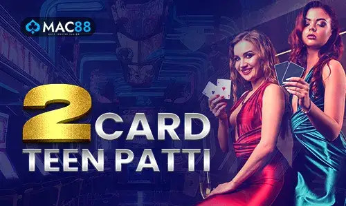 99wicket Login